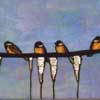 Chickadees playing on the Line repro by Stained Glass Artist Yvonne DeViller